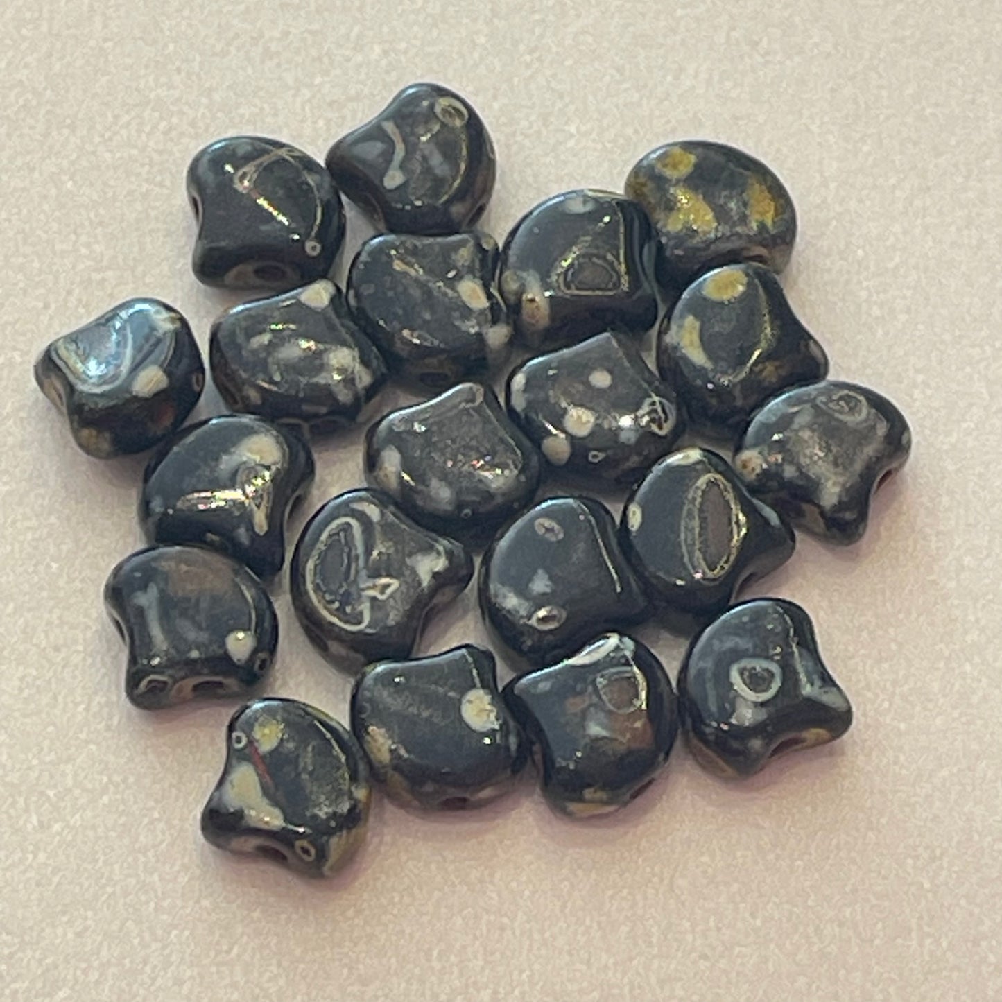 Ginko Black Rembrandt