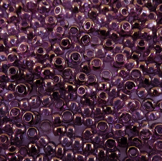 48025 Vega Luster 11* 10 grams